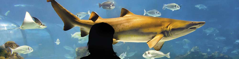 Aquarium Barcelona